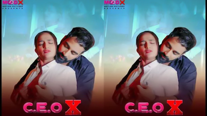 CEO X